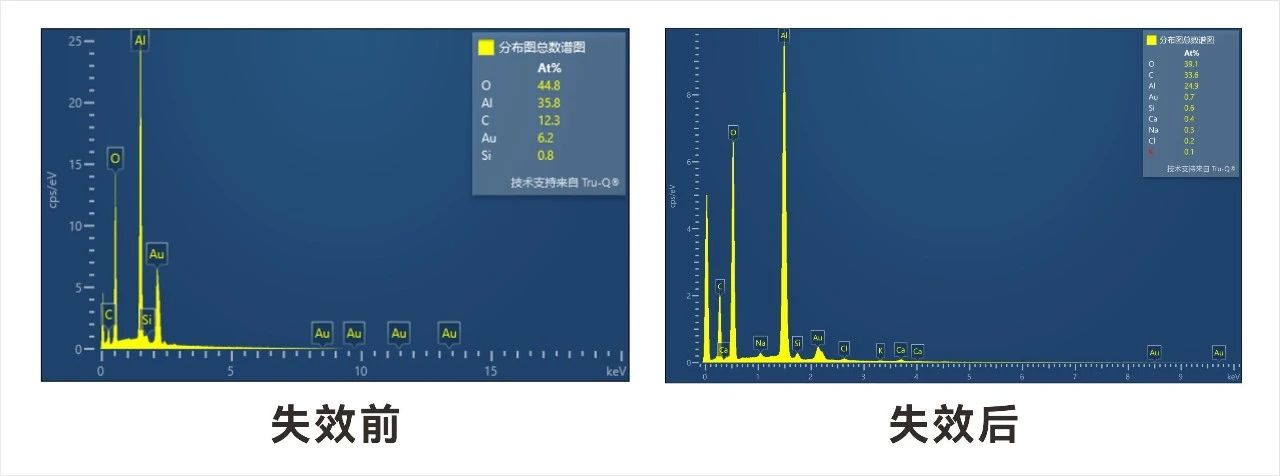 微信图片_20231202175921.jpg